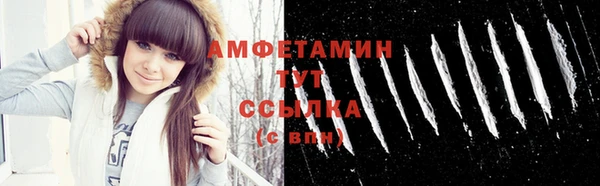 твердый Абаза