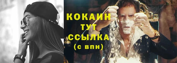 твердый Абаза