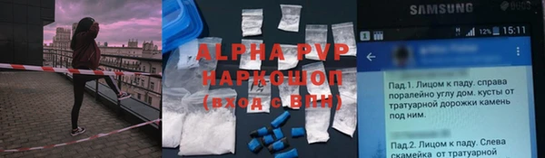 сатива Алзамай
