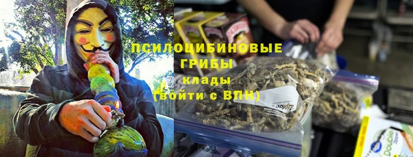 твердый Абаза
