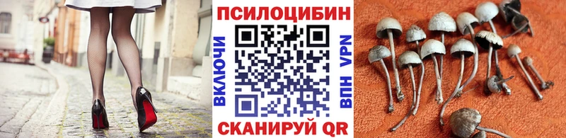 Галлюциногенные грибы MAGIC MUSHROOMS Катайск